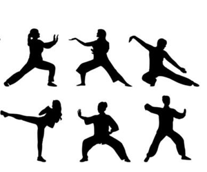 Presentational Tai Chi (Pre-Teens/Teens 10+) visual
