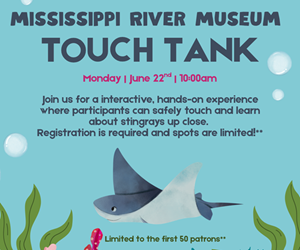 Presentational Mississippi River Museum - Stingray visual