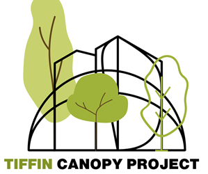 Presentational Tiffin Canopy Project visual