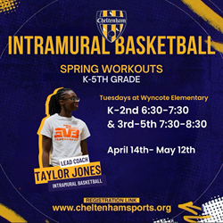 Presentational Spring Rec Basketball Workouts visual