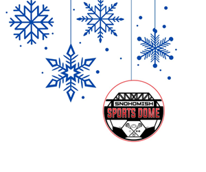 Presentational Mistletoe Madness '25 - Youth visual