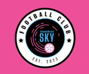 Presentational SKY CLUB SOCCER CLINIC; 1/2 DAY (3 DAYS) visual