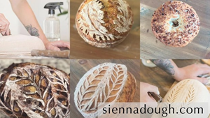 Presentational Learning Sourdough: Starter to Finish! visual