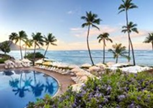 Presentational Adaptive Recreation: Bring the vacation to us/Hawaii edition visual