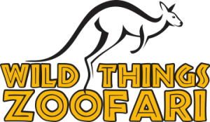 Presentational Movies Come to Life! visual