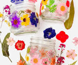 Presentational Teen Craft Night: Pressed Flower Creations visual