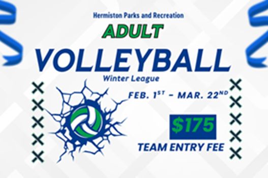 Winter Adult Volleyball 2026 link