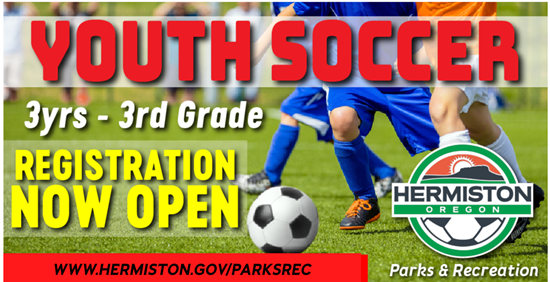 2026 Youth Soccer link
