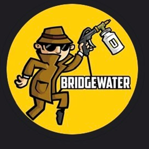 Undercover Undercoaters Bridgewater website