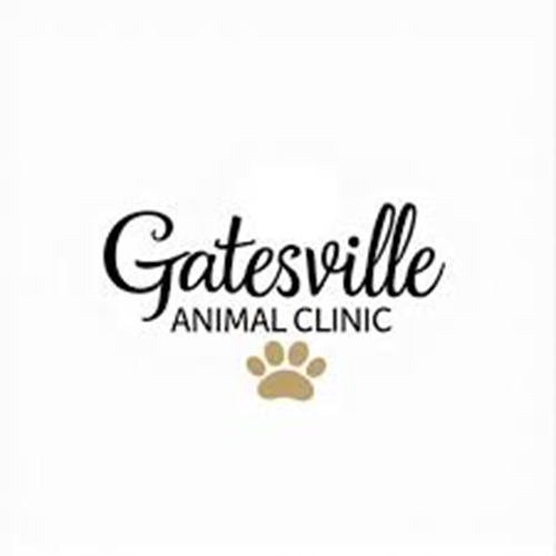 Gatesville Animal Clinic website