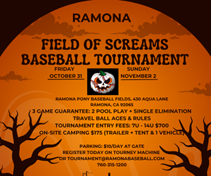 Presentational Field of Screams Camping Registration visual
