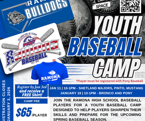Presentational RHS Bulldogs Baseball Camp visual