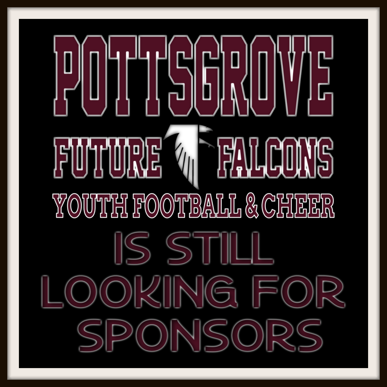 Pottsgrove Future Falcons