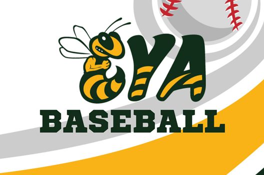 Baseball Registration link