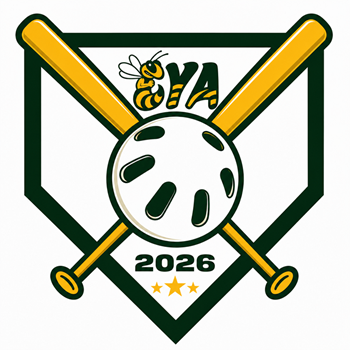 WIFFLE BALL link