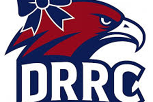 2026 DR Summer Cheer Camp link