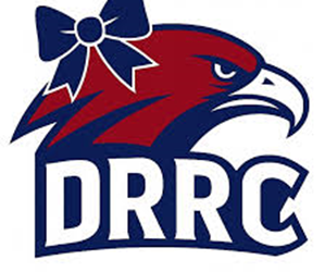 Presentational 2026 DR Summer Cheer Camp visual