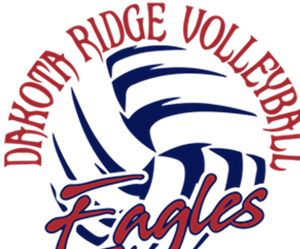 Presentational 2026 Little Spikers Volleyball Camp visual