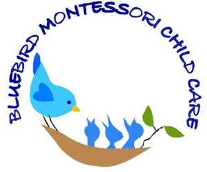 Presentational Bluebird Montessori - BBM visual