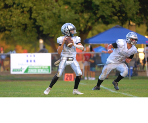 Presentational Player Skills Showcase visual