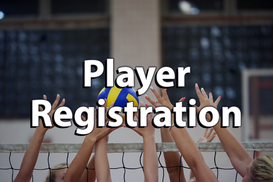 Presentational DMBC Volleyball Camp visual