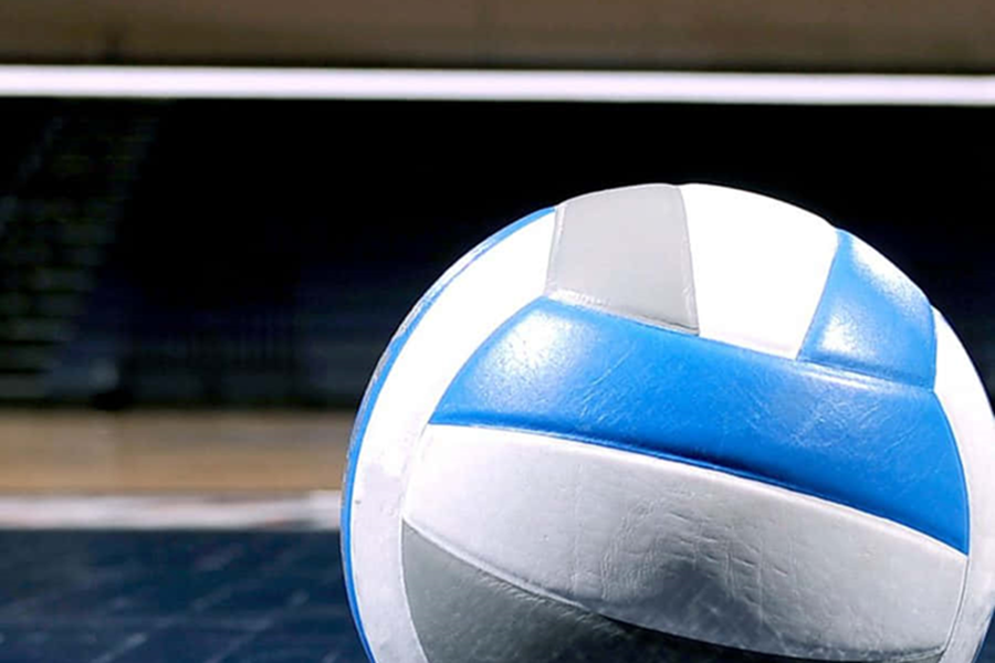 Presentational DMBC Volleyball Clinic visual