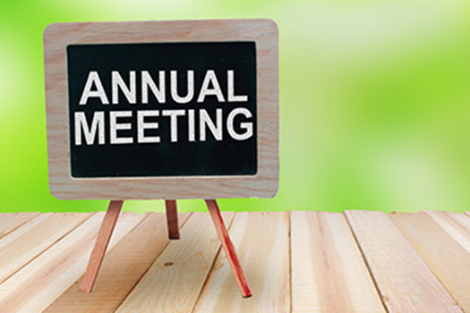 ANNUAL MEETING link
