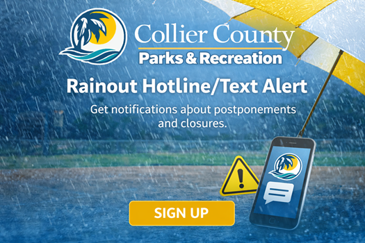 NCRP Softball Rainout Contact List link