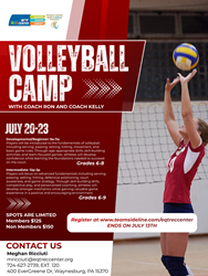 Presentational 2026 Volleyball Clinic visual