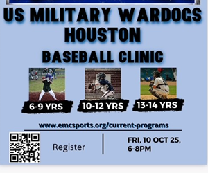 Presentational Youth Baseball Camp visual