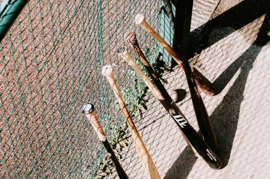 D-Bat Summer Camp link