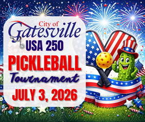 Presentational USA 250 PICKLEBALL TOURNAMENT visual