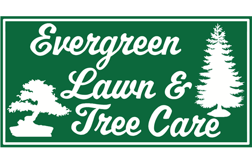 Evergreen Lawn & Tree Care website