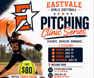 Presentational Pitching Clinic Series visual