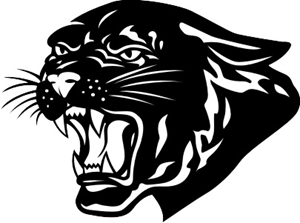 Presentational Panther Football Camp visual