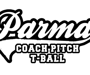 Presentational Summer Coach Pitch & T-Ball visual