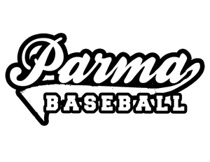 Presentational 12u Summer Team visual