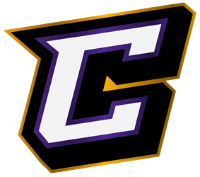 Presentational MLK Day 3v3 Clinic visual