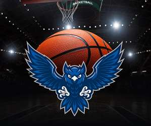 Presentational JYSA Basketball visual