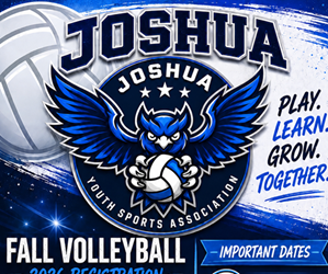 Presentational JYSA Volleyball visual