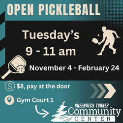 Presentational Adult Open Pickleball visual