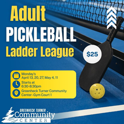 Presentational Adult Pickleball Ladder League visual