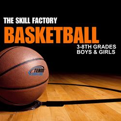 Presentational The Skill Factory - Basketball visual