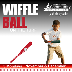 Presentational 3-6th Grade Wiffleball visual