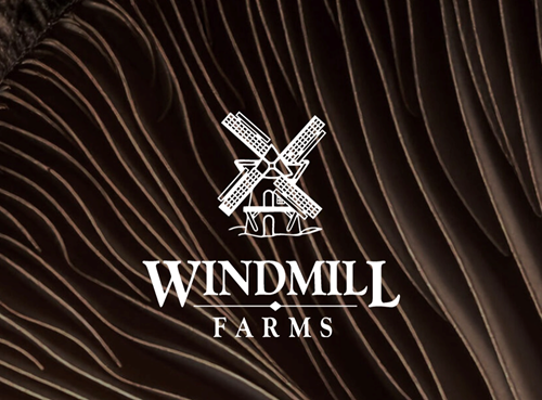 Windmill Farms website