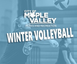 Presentational Adult Volleyball - Winter visual