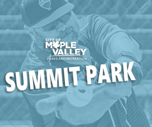 Presentational Adult Softball - Spring visual