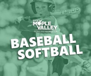 Presentational Youth Baseball-Softball visual