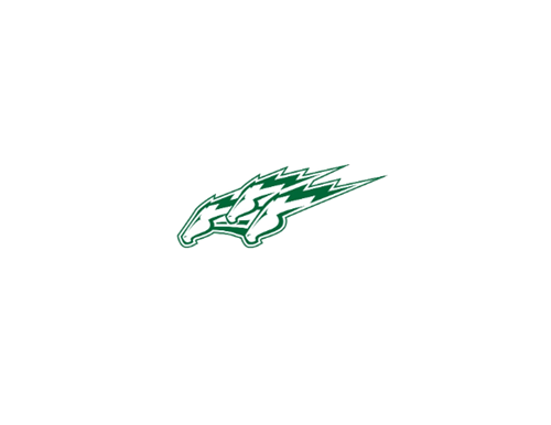 eagle-high-school-football