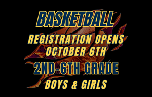 Presentational Basketball 2025 visual
